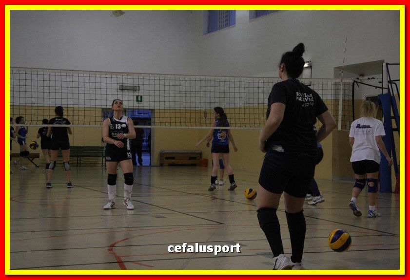 150508_Primula 020_tn.jpg